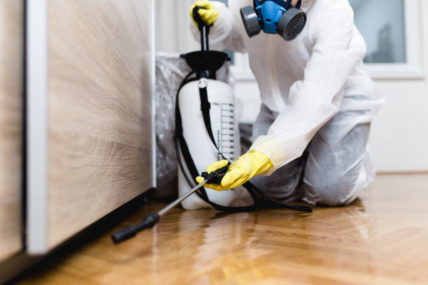 Best Best Pest Control Companies  in Rockwell City, IA