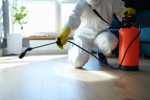 Pest Prevention Services in Rockwell City, IA