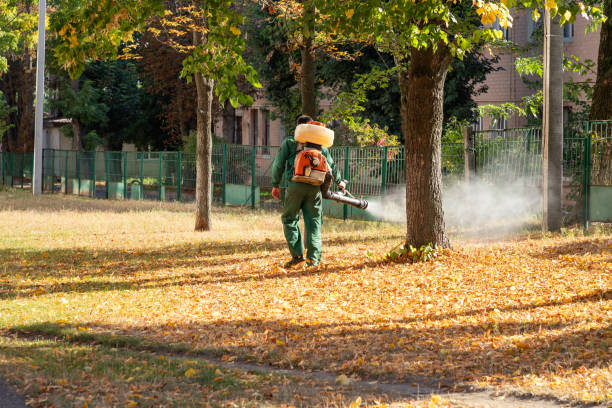 Best Pest Control Treatment  in Rockwell City, IA