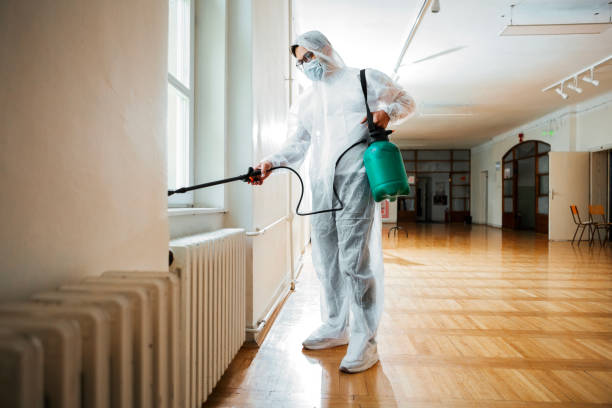 Best Emergency Pest Control  in Rockwell City, IA